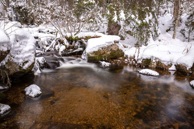 Stream flowing through rocks in forest during winter