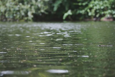 Surface level view of lake