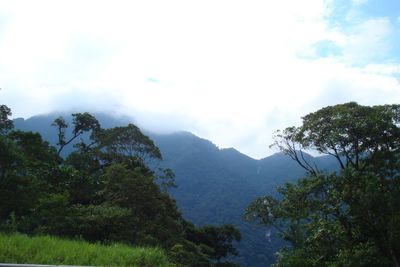 Low angle view of trees and mountains against sky