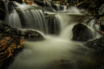 Scenic view of waterfall in forest