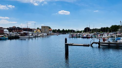 Sailboats moored in harbor