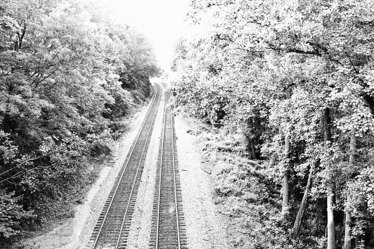 VIEW OF RAILROAD TRACKS ALONG TREES