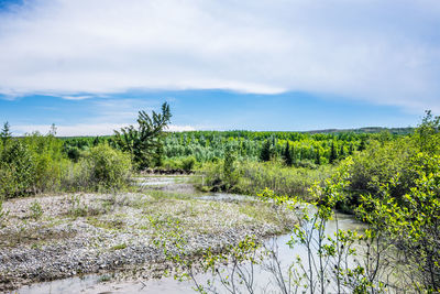 Scenic view of landscape against sky