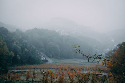 Scenic view of landscape against sky