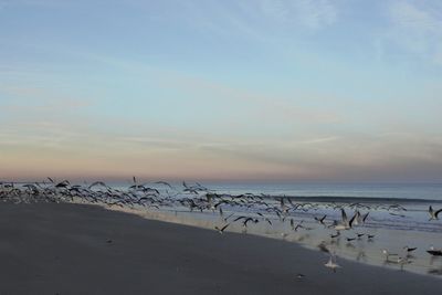 Scenic view of sea against sky during winter