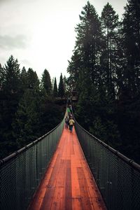 Rear view of man walking on footbridge