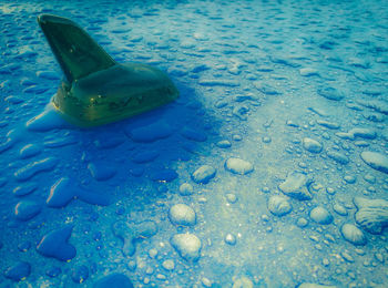 High angle view of swimming in sea