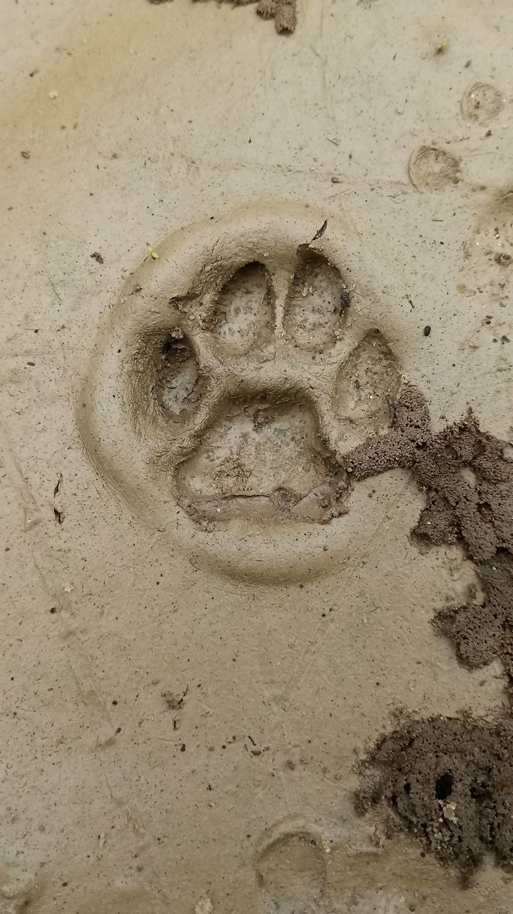 HIGH ANGLE VIEW OF MESSY SAND ON BEACH