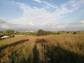Scenic view of field against sky