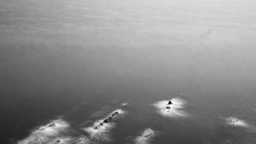 High angle view of people on sea shore