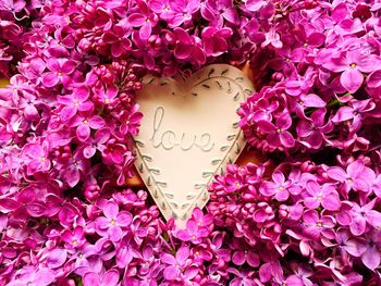 Close-up of heart shape on pink flowering plant