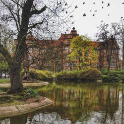 River with buildings in background