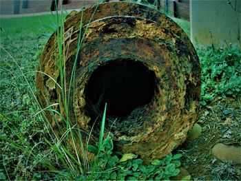 Close-up of old weathered hole in field