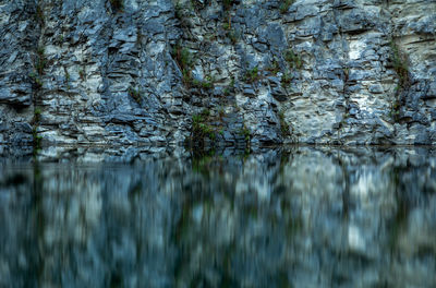 Reflection of trees in lake