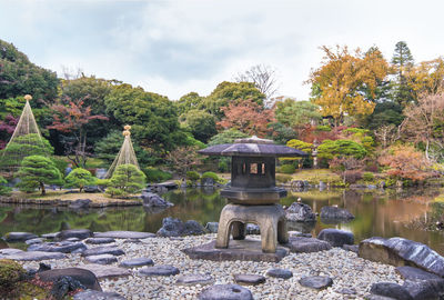 Japanese garden's yukimi stone lantern overlooking by red maple momiji leaves in autumn.