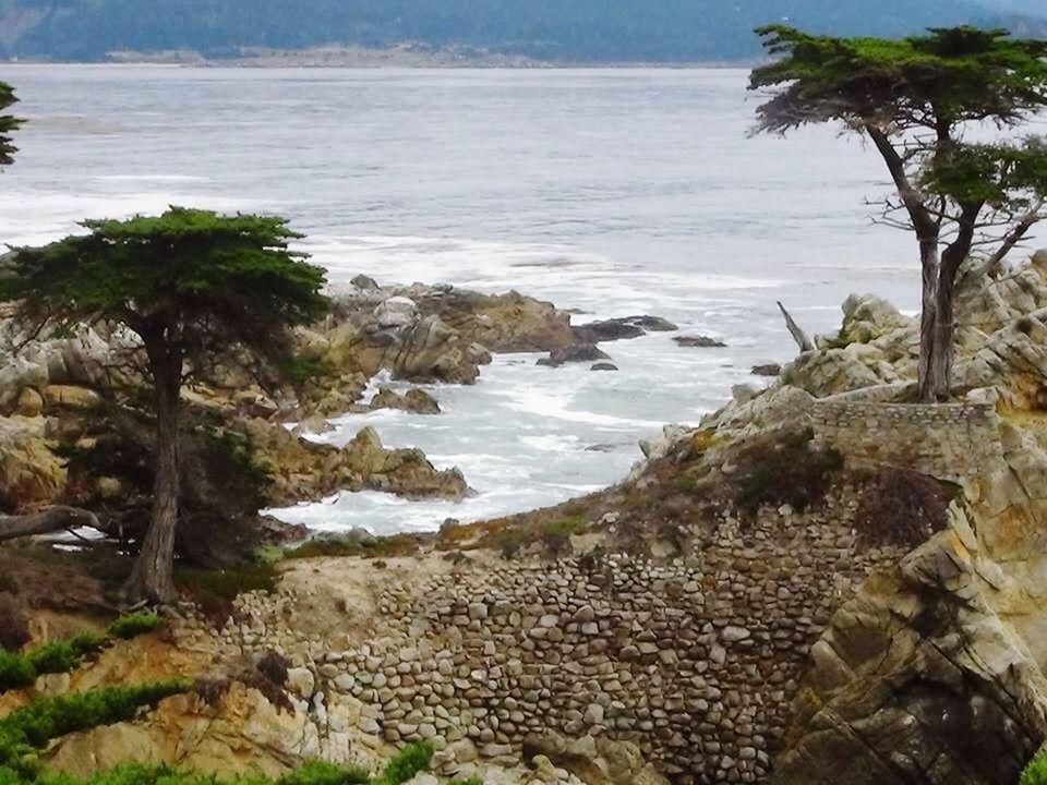 water, sea, tranquility, tranquil scene, scenics, beauty in nature, beach, tree, nature, rock - object, shore, sky, horizon over water, idyllic, coastline, high angle view, growth, day, outdoors, rock formation