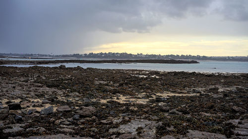 Scenic view of beach during sunset