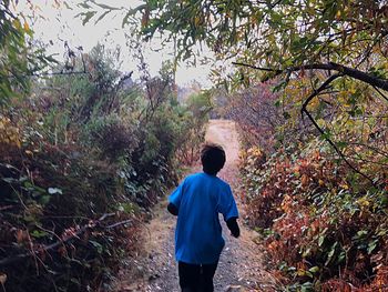 Rear view of man walking in forest