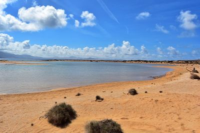 Scenic view of beach against blue sky