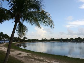 Scenic view of palm trees by lake against sky