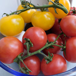 High angle view of tomatoes