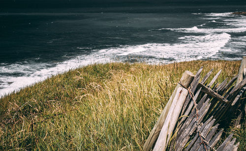 Scenic view of sea shore