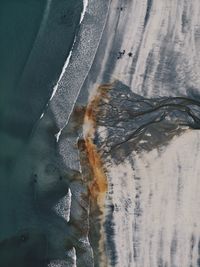 Close-up of frozen plants