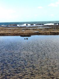 sea
