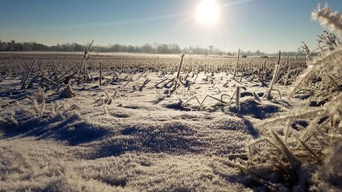 Scenic view of field against sky during winter
