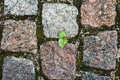 Full frame shot of stone wall