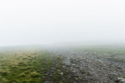 Scenic view of grassy field during foggy weather