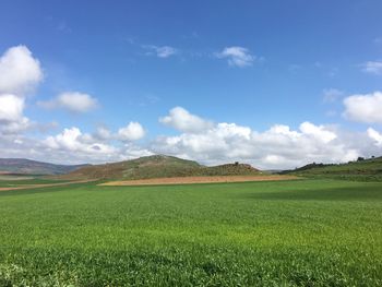 Scenic view of field against cloudy sky