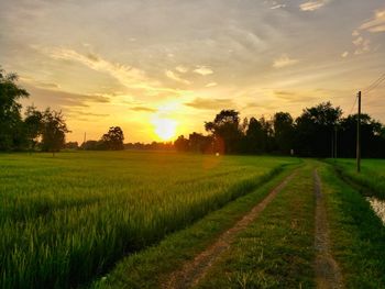 Scenic view of field against sky during sunset