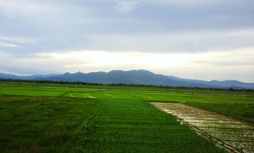 Scenic view of landscape against cloudy sky