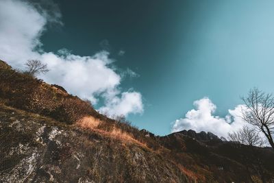 Low angle view of trees and mountain against sky