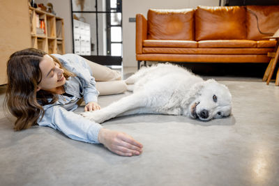 View of a dog resting on sofa