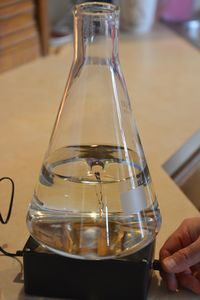 Close-up of beer glass on table