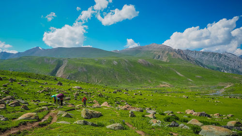 Panoramic view of sheep grazing on field against sky