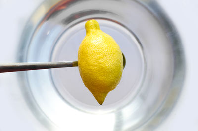 Lemon above the water.