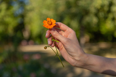 hand
