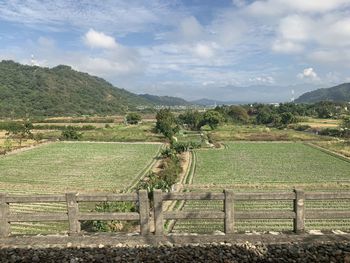 Scenic view of agricultural field against sky