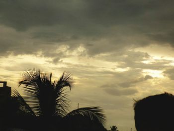 Low angle view of silhouette bare trees against sky