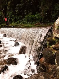 Scenic view of waterfall in forest