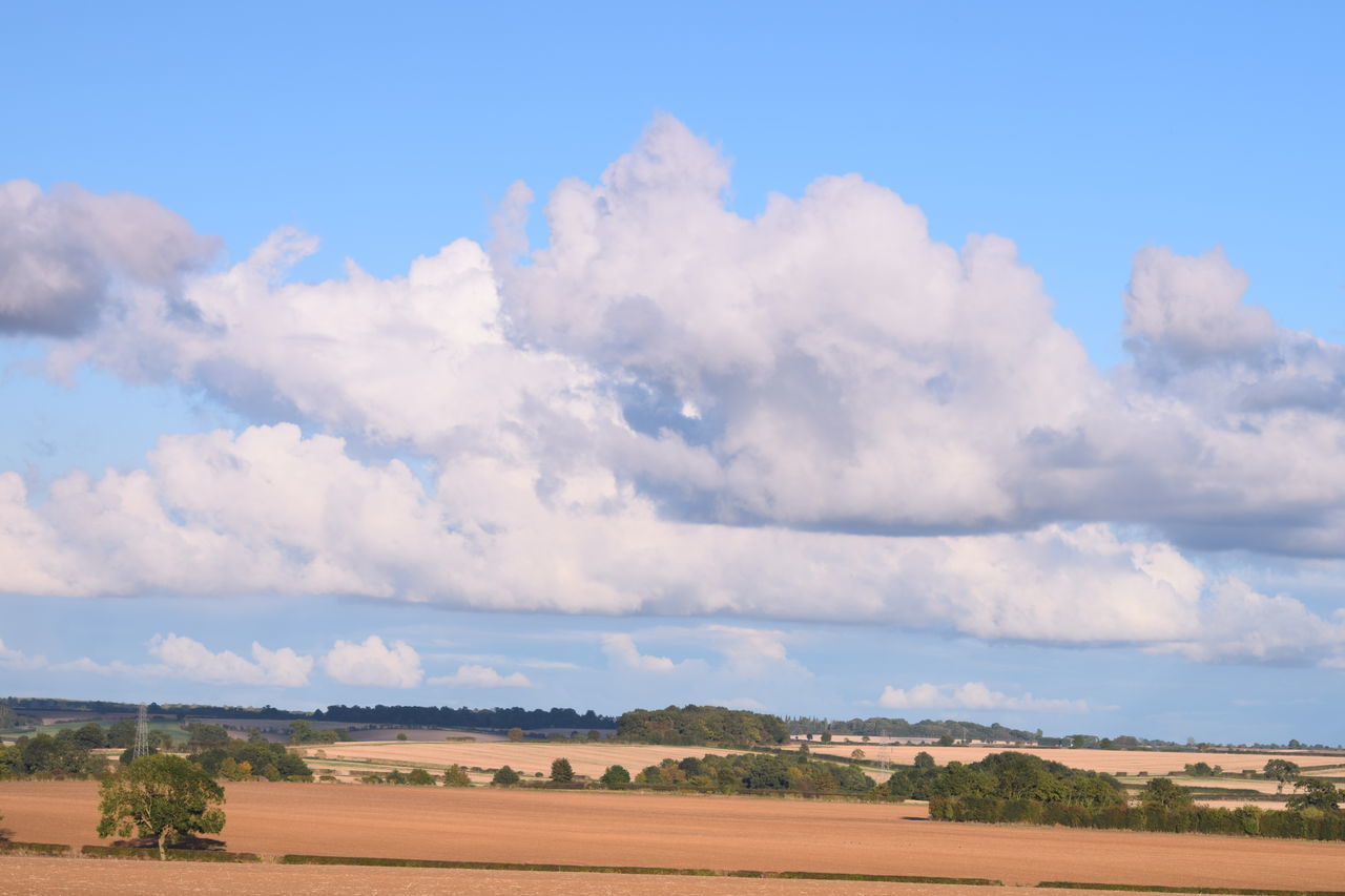 landscape, tranquil scene, tranquility, tree, sky, scenics, beauty in nature, day, cloud - sky, countryside, nature, solitude, non-urban scene, blue, growth, travel destinations, cloud, majestic, outdoors, rural scene, tourism, remote, cumulus cloud, cloudscape, green, no people, cultivated land, agriculture, green color