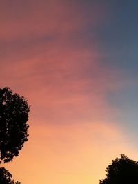 Low angle view of silhouette tree against orange sky