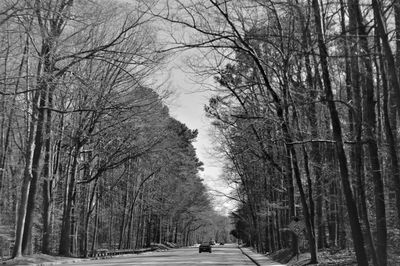 Road amidst bare trees in forest during winter