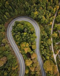 High angle view of road amidst trees and plants