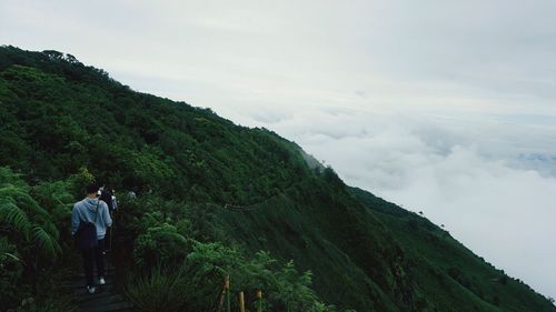 Rear view of man climbing on mountain against sky