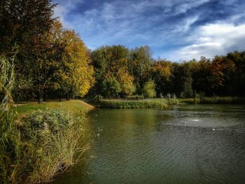 Scenic view of lake in forest against sky