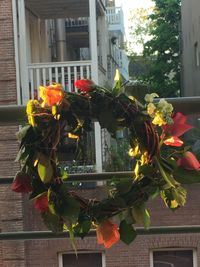 Flowers growing on window of building